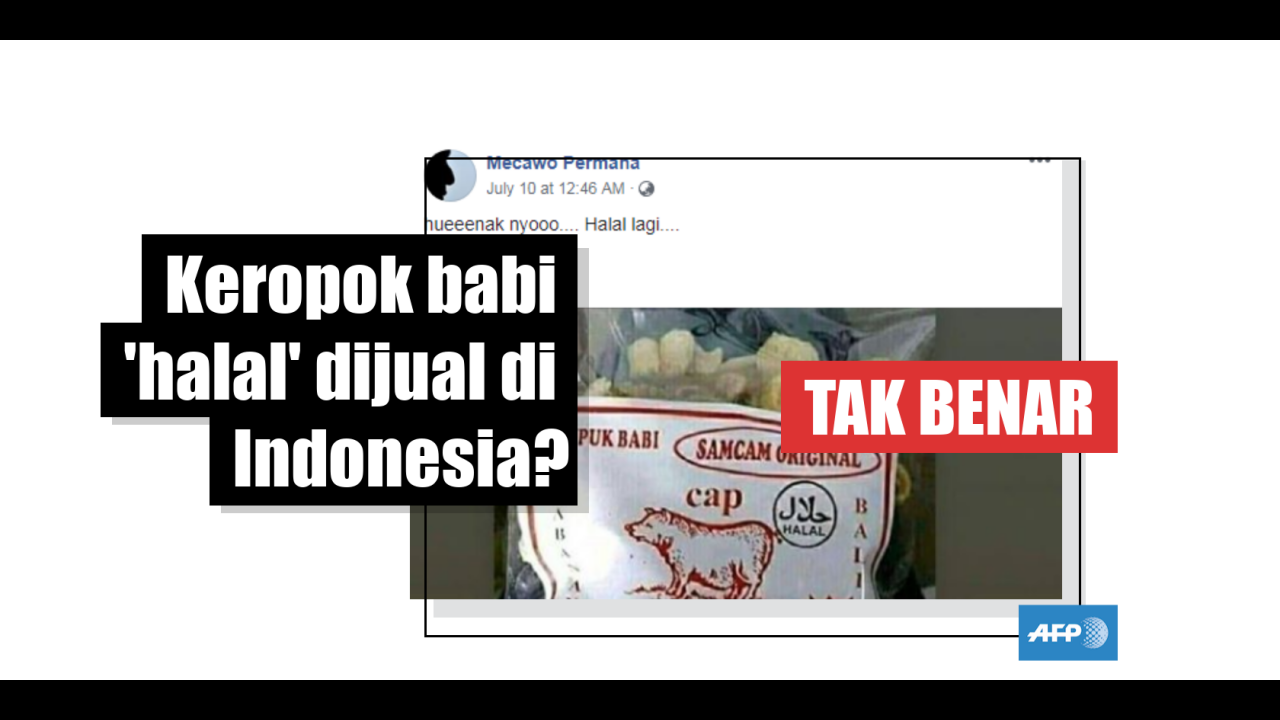 73 Gambar Babi Warna Hitam 73 Gambar Babi Warna Hitam